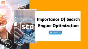 Importance Of Search Engine Optimization