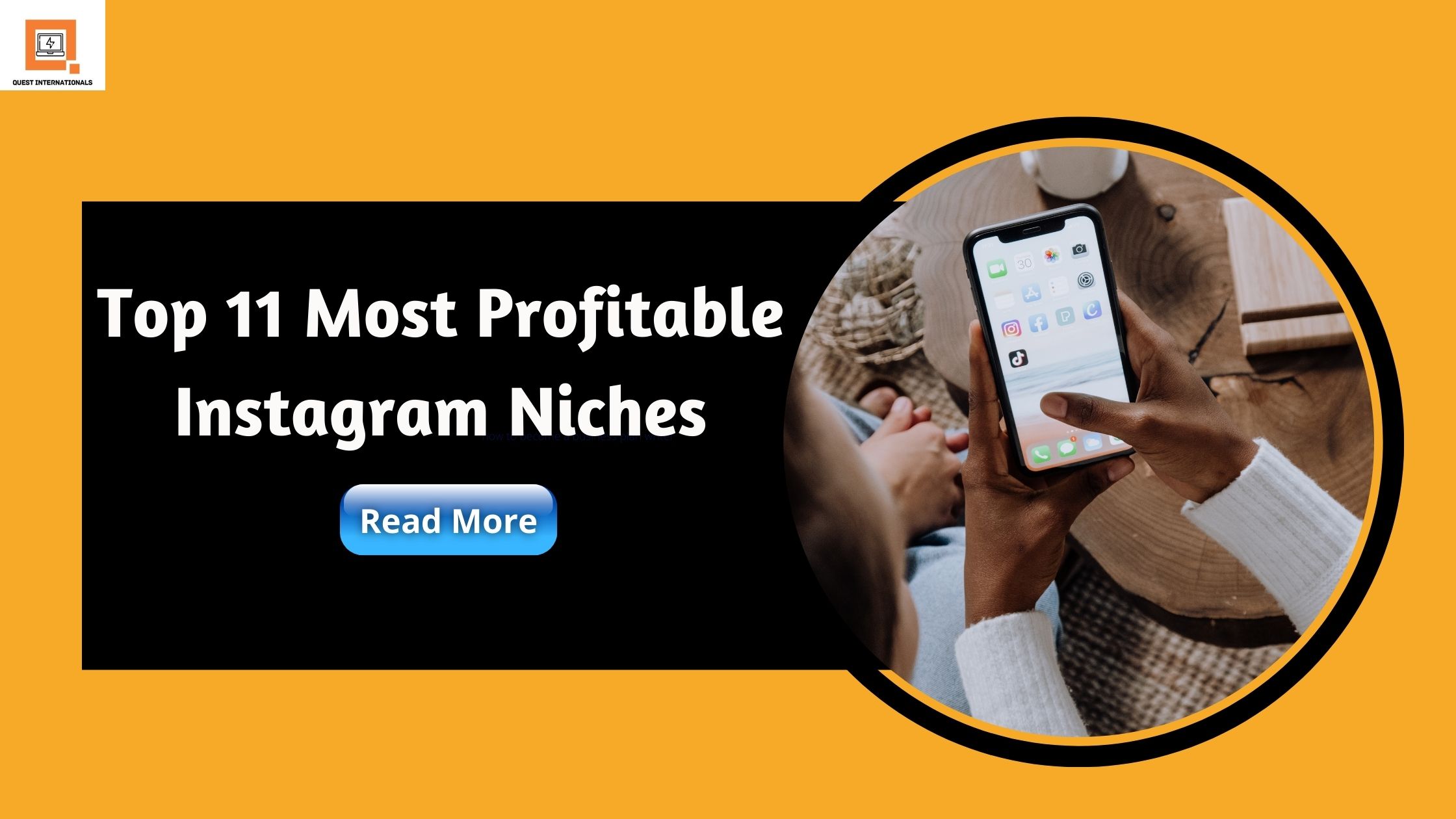 You are currently viewing Top 11 Most Profitable Instagram Niches